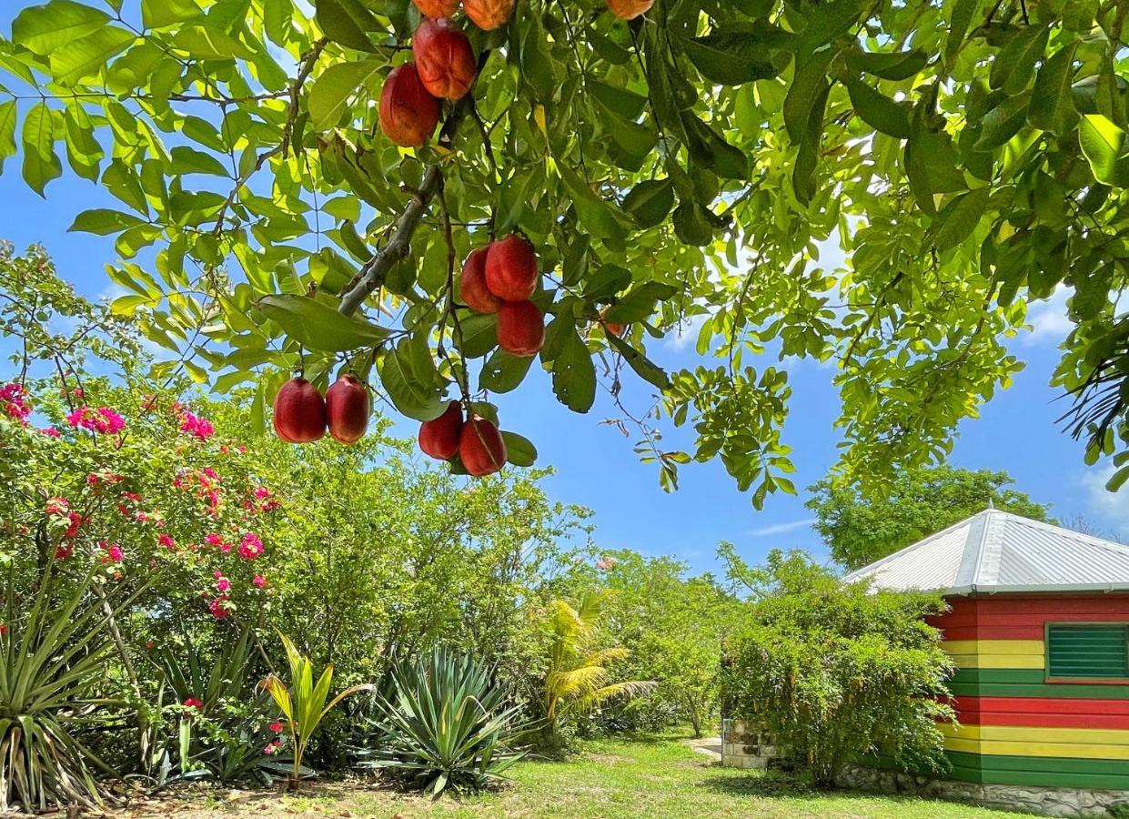 Little Bay Judy House 2 - Lewis Backpacker Hostel מראה חיצוני תמונה