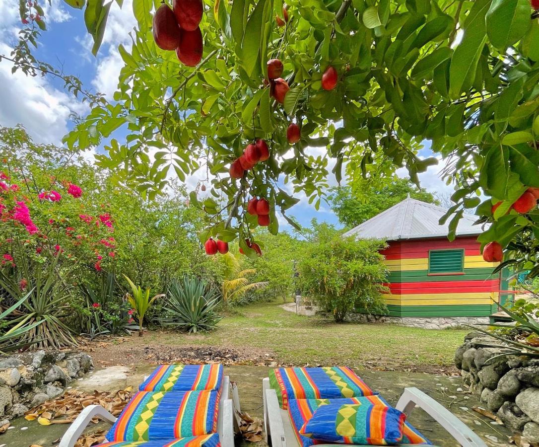 Little Bay Judy House 2 - Lewis Backpacker Hostel מראה חיצוני תמונה